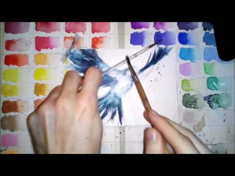 480x360 Peace Dove (Watercolor) By Tarso - Watercolor Dove