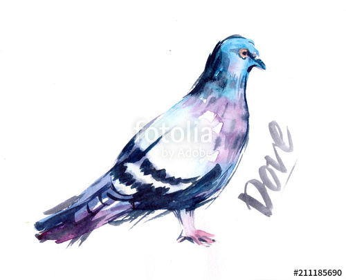 500x405 Watercolor Dove Stock Photo And Royalty Free Images On Fotolia - Watercolor Dove