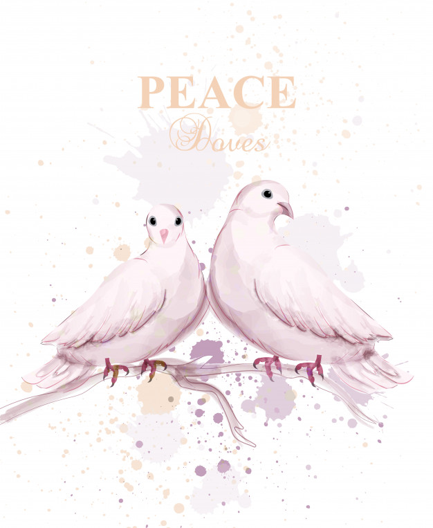 626x763 Watercolor Dove Birds Vector Premium Download - Watercolor Dove