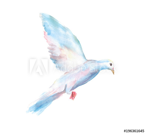 500x458 Watercolor Hand Drawn Sketch Illustration Of Dove In Flight - Watercolor Dove