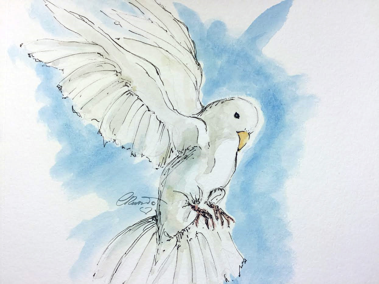 1245x934 White Dove - Watercolor Dove