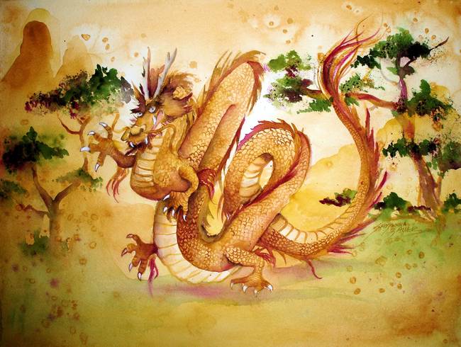 650x490 Chinese Wood Dragon By Shoshanna Bauer - Watercolor Dragon Paintings