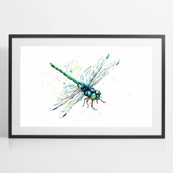 570x570 Watercolor Dragonfly Painting Print Dragonfly Art Animal Etsy - Watercolor Dragonfly