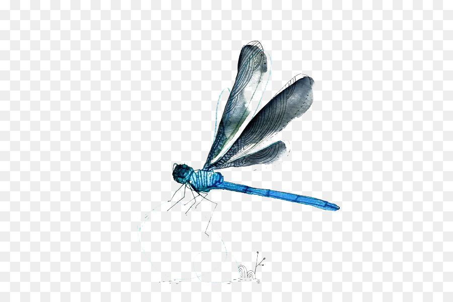 900x600 Watercolor Painting - Watercolor Dragonfly