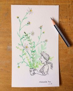 236x295 Megan Tennant Spirit Island - Watercolor Drawing Board