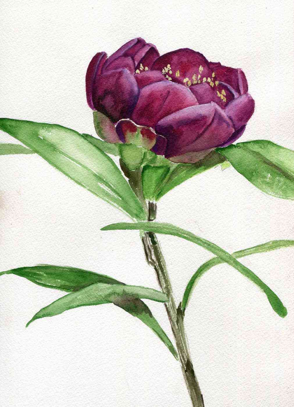 1011x1400 736x700 Girl Paintings Art Challenge Watercolor Painting Ideas - Watercolor Drawings Tumblr