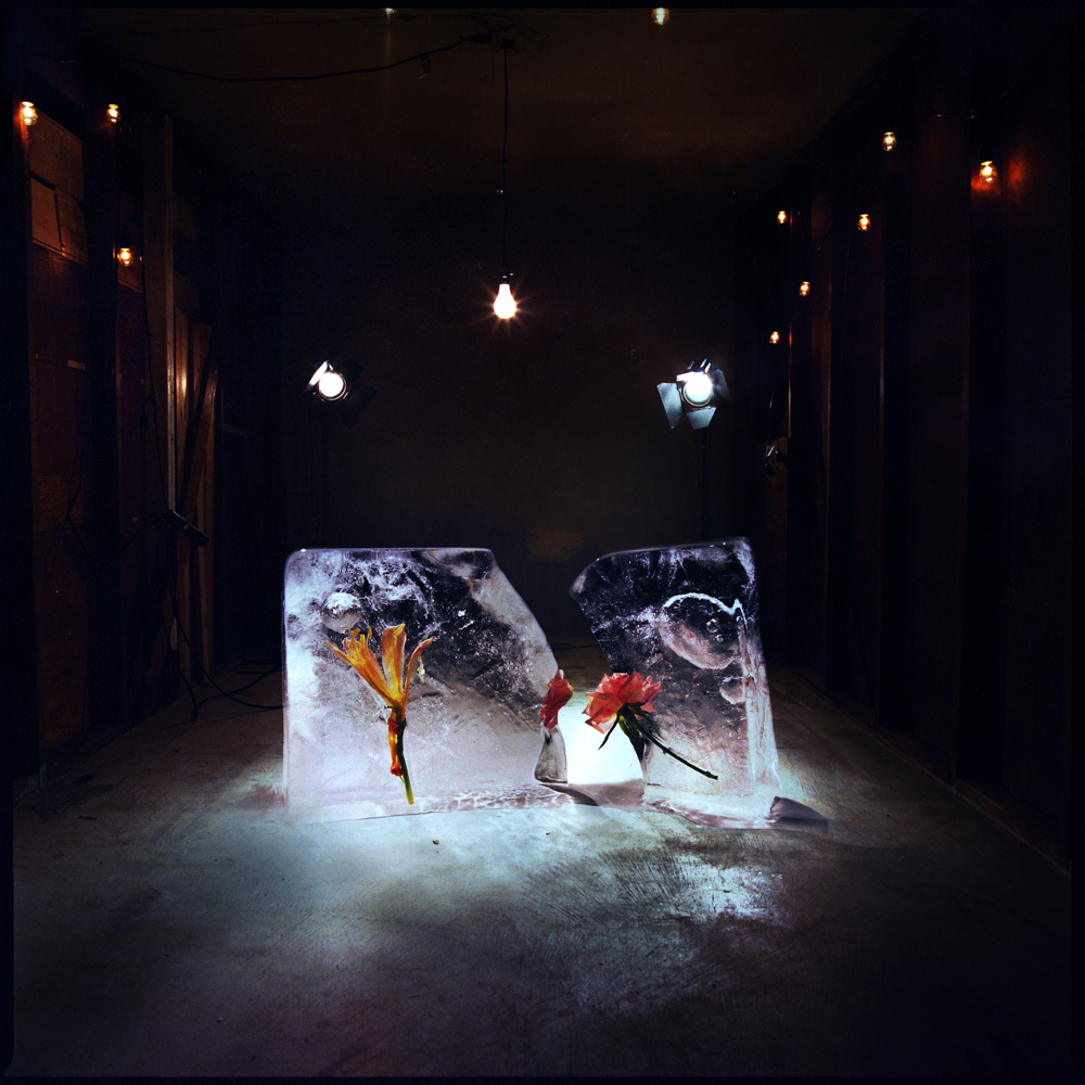 1000x1000 Shy Girls Watercolor Dreams Lyrics Genius Lyrics - Watercolor Dreams