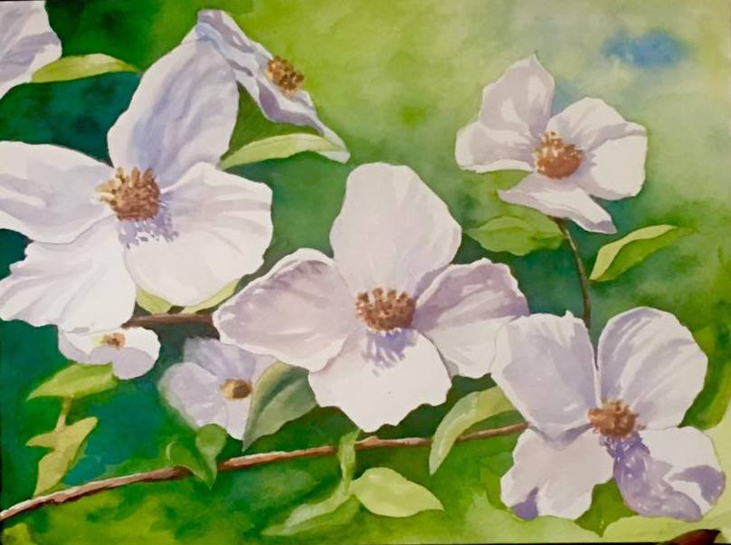 808x602 Watercolor Dreams Darlene Meader Riggs - Watercolor Dreams