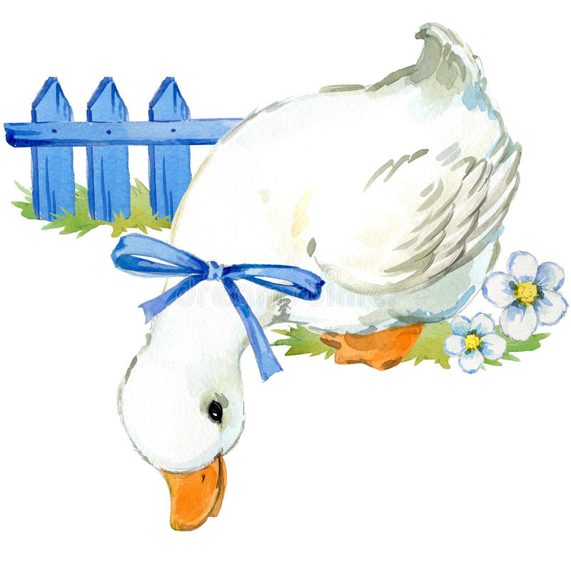 800x800 Duck Clipart Watercolor ~ Frames ~ Illustrations ~ Hd Images - Watercolor Duck