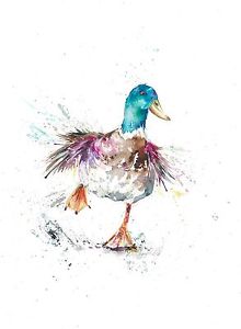 220x300 Highly Collectable A4 Giclee Art Print Watercolour Wildlife Ducks - Watercolor Duck