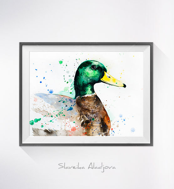 556x604 Mallard Duck Watercolor Painting Print, - Watercolor Duck