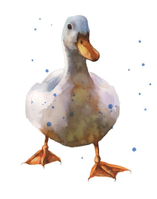 553x700 Znalezione Obrazy Dla Zapytania Watercolor Duck Just Cute In - Watercolor Duck