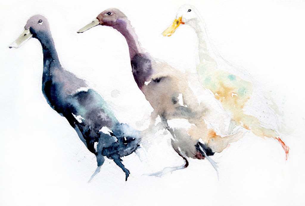 1024x692 Limited Edition Print Indian Runner Ducks - Watercolor Duck
