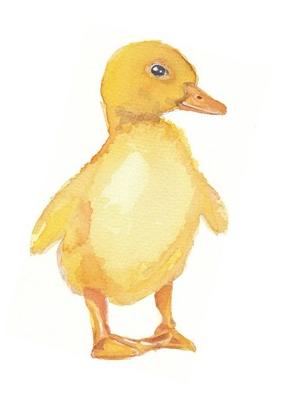 298x405 Duck Watercolor Painting Duckduckgoose - Watercolor Duck