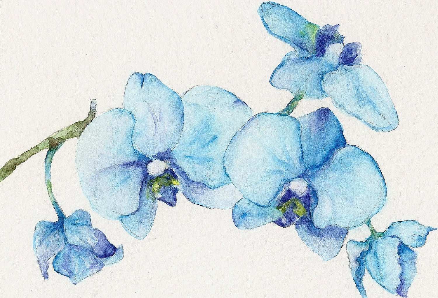 1500x1023 50 Blue Flower Painting Painting Ideas - Watercolor E