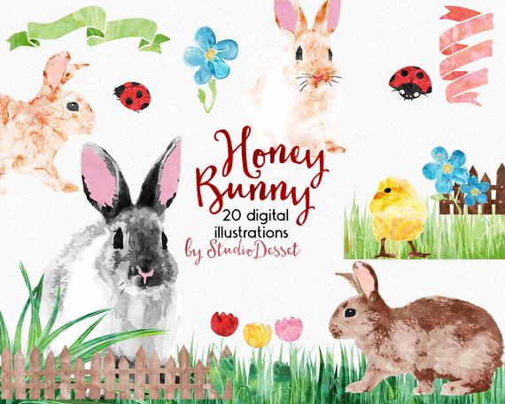 570x456 Watercolor Easter Bunny Cliparts Rabbit Clipart Chicken Etsy - Watercolor Easter Bunny