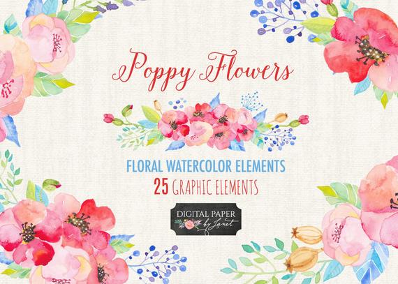 570x407 Poppy Flower Floral Watercolor Elements Png File Etsy - Watercolor Elements