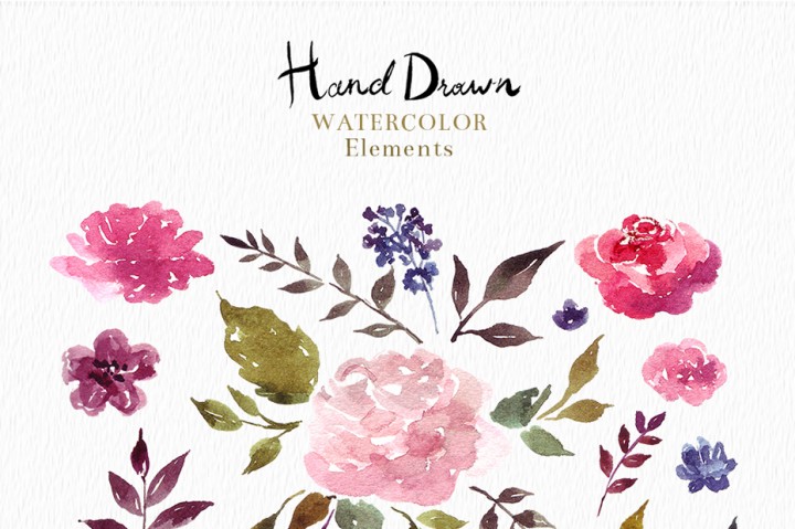 720x479 230 Watercolor Floral Elements By Molesko Studio - Watercolor Elements
