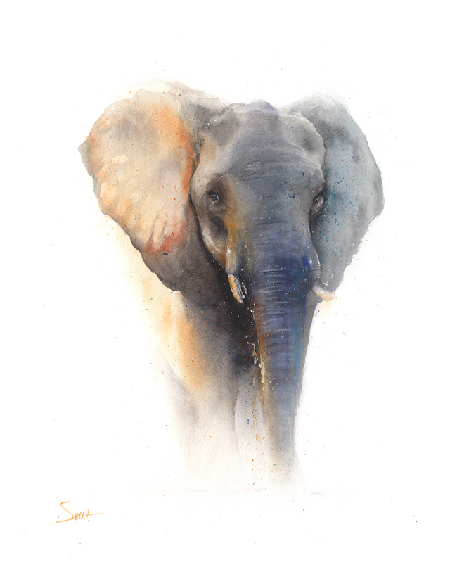 650x813 Elephant Watercolor Print 3 Watercolor Animal Paintings - Watercolor Elephant