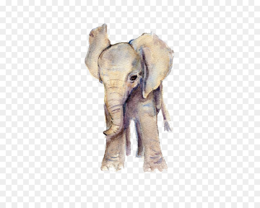900x720 Elephant Watercolor Painting Art Printmaking - Watercolor Elephant