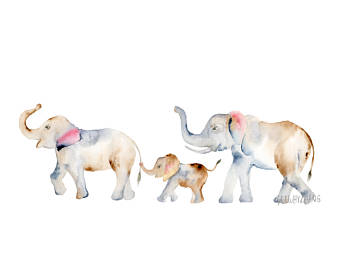 340x270 Elephant Watercolor Etsy - Watercolor Elephant