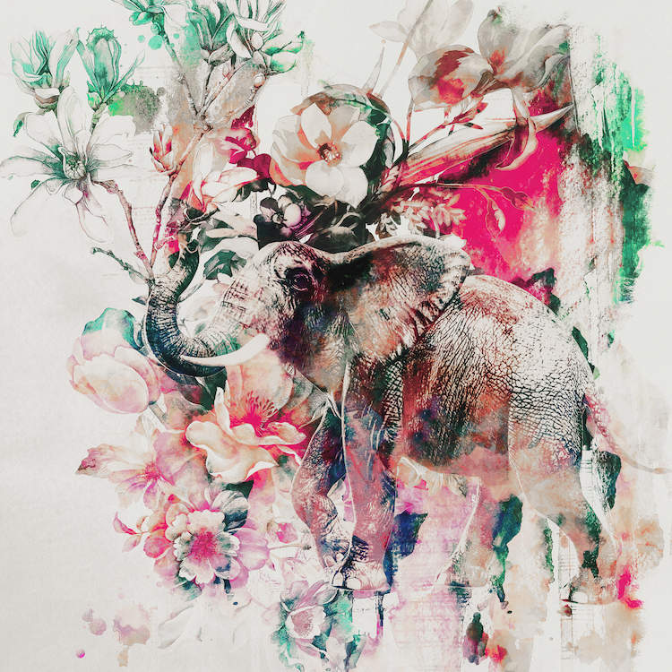 750x750 Watercolor Elephant And Flowers Canvas Wall Art By Riza Peker - Watercolor Elephant