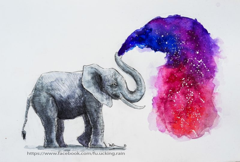 800x542 Watercolor, Galaxy, Kim, Painting Drawing Pencil - Watercolor Elephant
