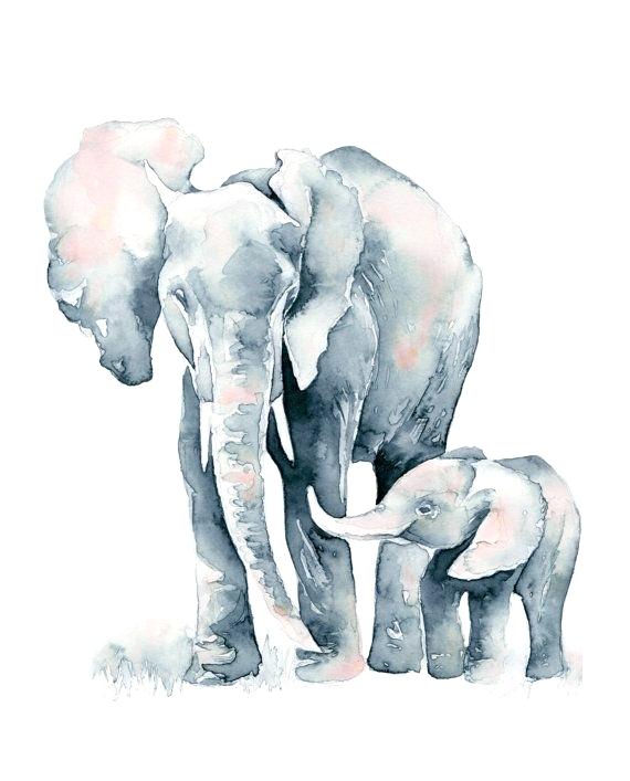 570x707 Baby Elephant Art Johnregan3 - Watercolor Elephant Art