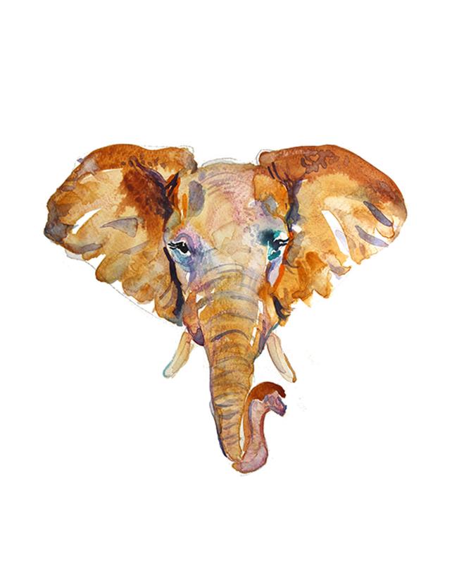 642x817 Elephant Head Watercolor Animal Size 11 X 14 In Etsy - Watercolor Elephant Head