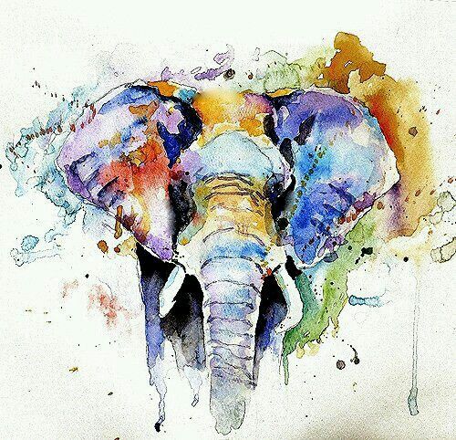 500x482 Painting Projects Watercolor - Watercolor Elephant Head
