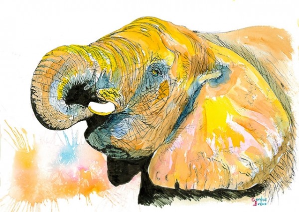 600x425 Elephant Head Original Watercolor Painting By Gerdus Bronn - Watercolor Elephant Head
