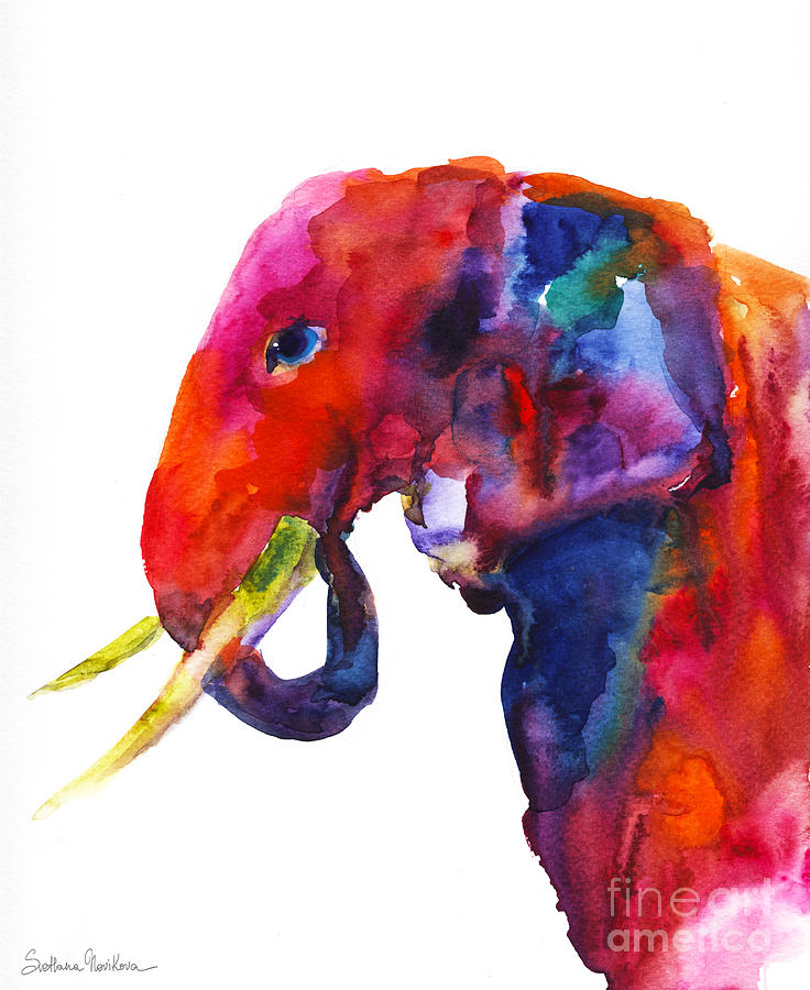 736x900 Colorful Watercolor Elephant Painting By Svetlana Novikova - Watercolor Elephant Painting