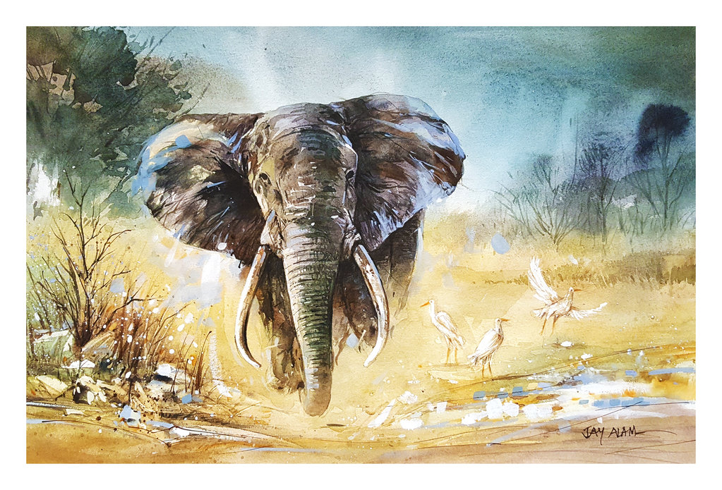 1023x695 Watercolor Painting - Watercolor Elephant Painting