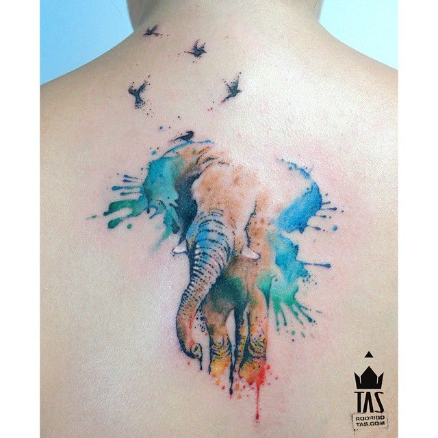 640x640 Water Color Elephant Tattoo With Out The Birds. Pintura - Watercolor Elephant Tattoo