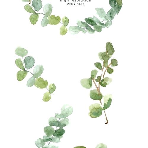 500x500 Eucalyptus Wreath Watercolor Eucalyptus Wreath Branches 1 - Watercolor Eucalyptus Leaves