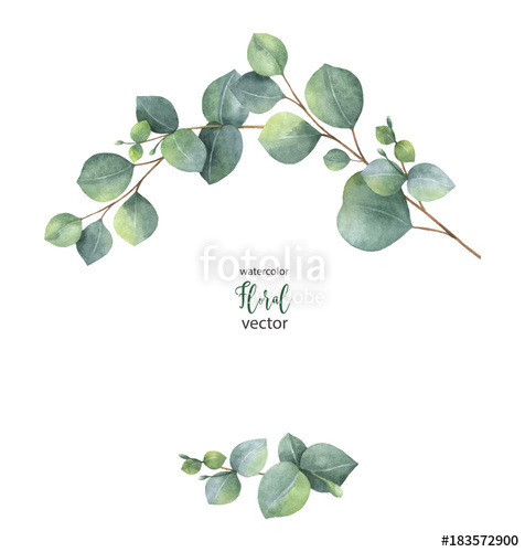 Watercolor Eucalyptus Leaves at PaintingValley.com | Explore collection ...