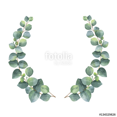 500x500 Watercolor Vector Wreath With Silver Dollar Eucalyptus Leaves And - Watercolor Eucalyptus Leaves