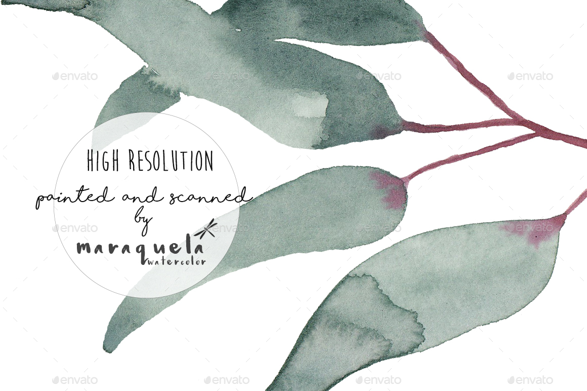 1160x772 Elegant Watercolor Eucalyptus Leaves Clip Art Hand Made By - Watercolor Eucalyptus Leaves