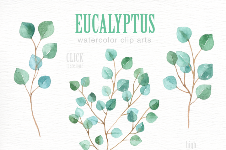 720x479 Eucalyptus Leaf Watercolor Clipart By Everysunsun - Watercolor Eucalyptus Leaves