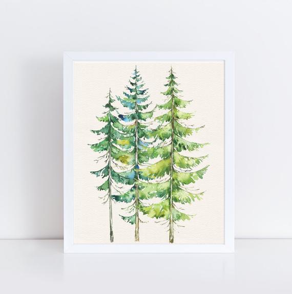 570x572 Watercolor Evergreen Trees Printable Art Print Watercolor Etsy - Watercolor Evergreen Trees