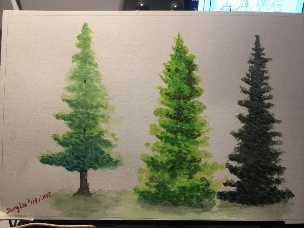 Watercolor Evergreen Trees at PaintingValley.com | Explore collection ...