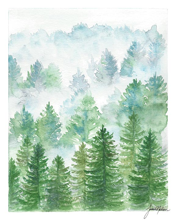 576x720 Janice Nelson Designs Evergreen Trees Print - Watercolor Evergreen Trees
