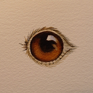 300x300 Painting Eyes Step By Step Watercolor - Watercolor Eye Painting