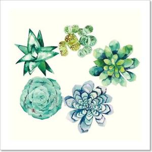 300x300 Watercolor Succulent Collection Art Print Home Decor Wall Art - Watercolor F
