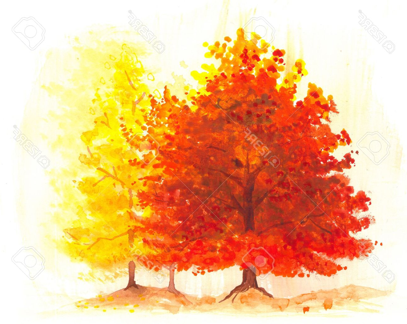 1300x1036 Painting Autumn Trees In Watercolour Autumn Tree Watercolor - Watercolor Fall Trees