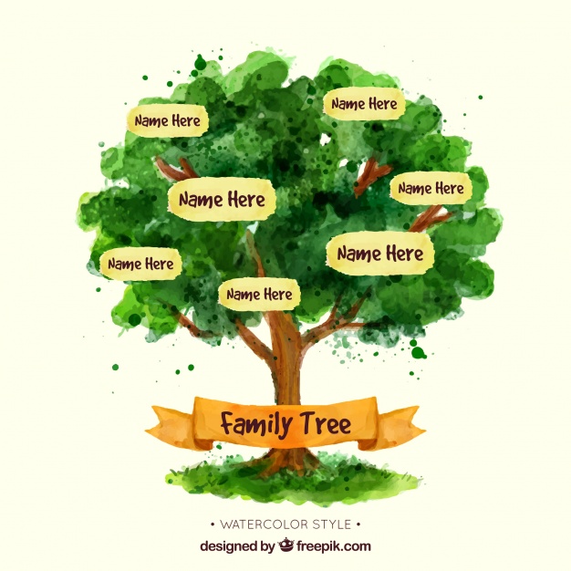 626x626 Fantastic Family Tree In Watercolor Style Vector Free Download - Watercolor Family Tree