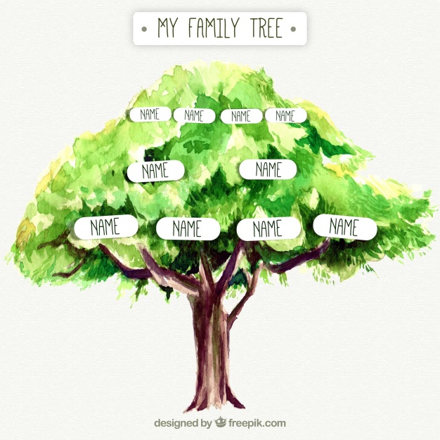 Watercolor Family Tree at PaintingValley.com | Explore collection of ...