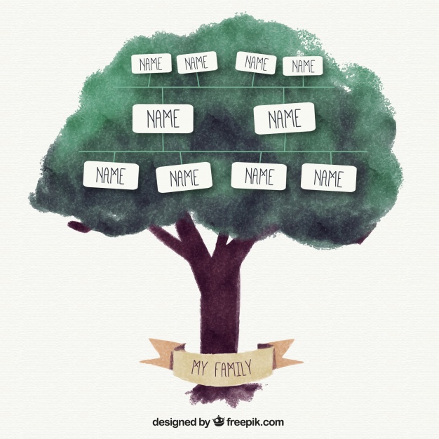 626x626 Watercolor Family Tree With Text Boxes Vector Free Download - Watercolor Family Tree