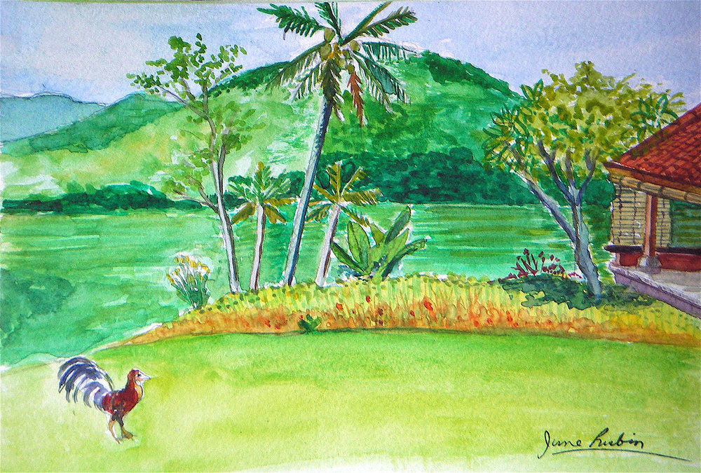 1000x675 Bali Farm, Watercolor June Rubin, Artist - Watercolor Farm