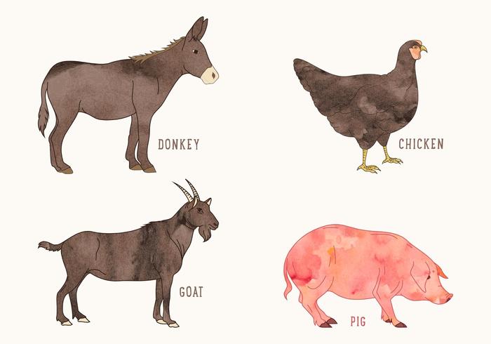 700x490 Free Vector Watercolor Farm Animals - Watercolor Farm Animals